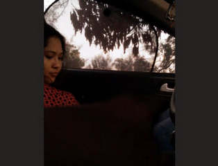 Cute girl giving blowjob in car 1